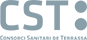 CST Terrasa Logo